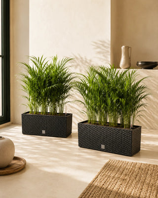 Manantial — jardinera con autorriego 17L Tenti