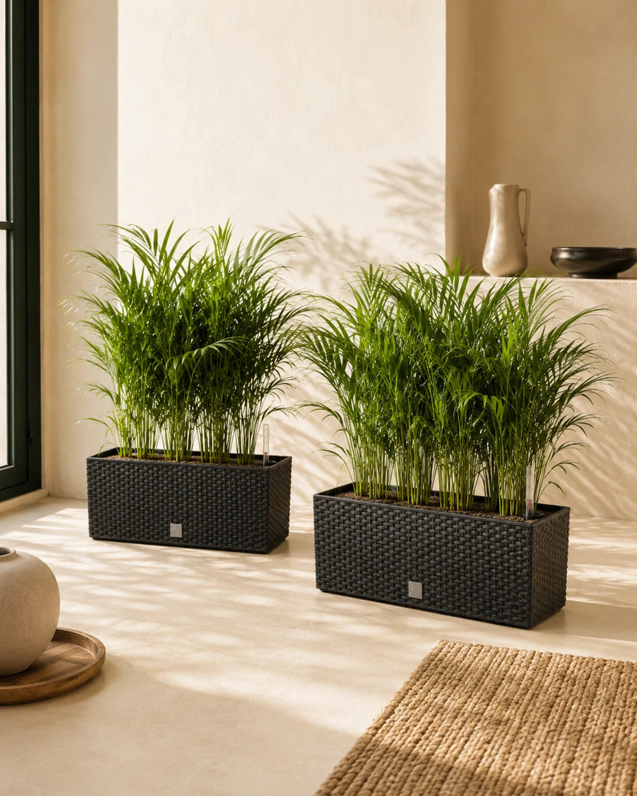 Manantial — x2 jardineras con autorriego 17L