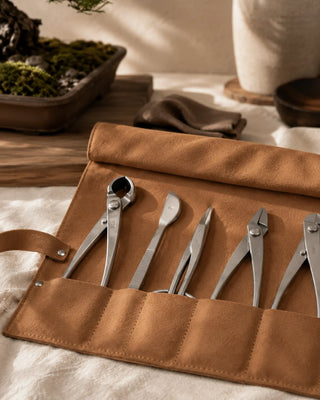 Maestro — kit de herramientas de bonsái Tenti