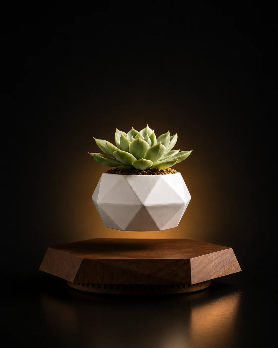 Ingrávida — maceta levitante con rotación 360° Tenti