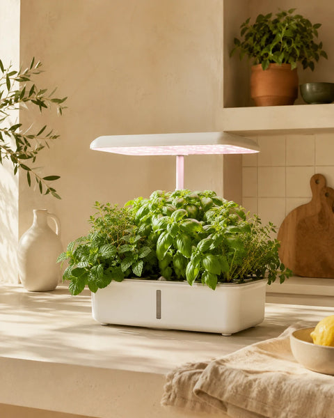 Huerta — sistema hidropónico LED completo