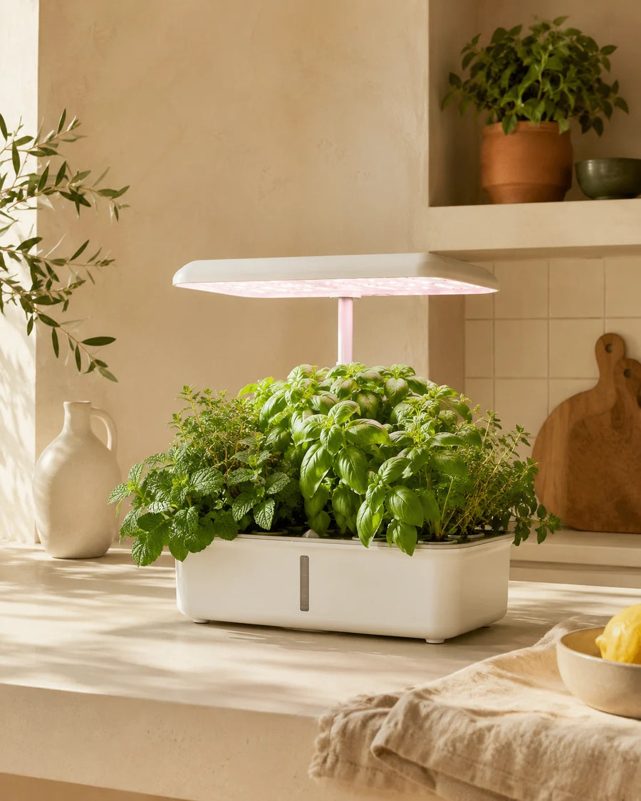 Huerta — sistema hidropónico LED completo